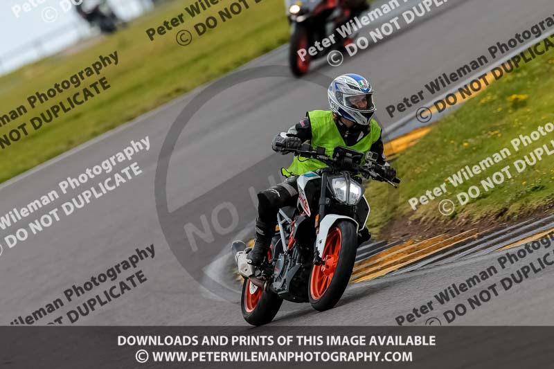 PJ Motorsport 2019;anglesey no limits trackday;anglesey photographs;anglesey trackday photographs;enduro digital images;event digital images;eventdigitalimages;no limits trackdays;peter wileman photography;racing digital images;trac mon;trackday digital images;trackday photos;ty croes